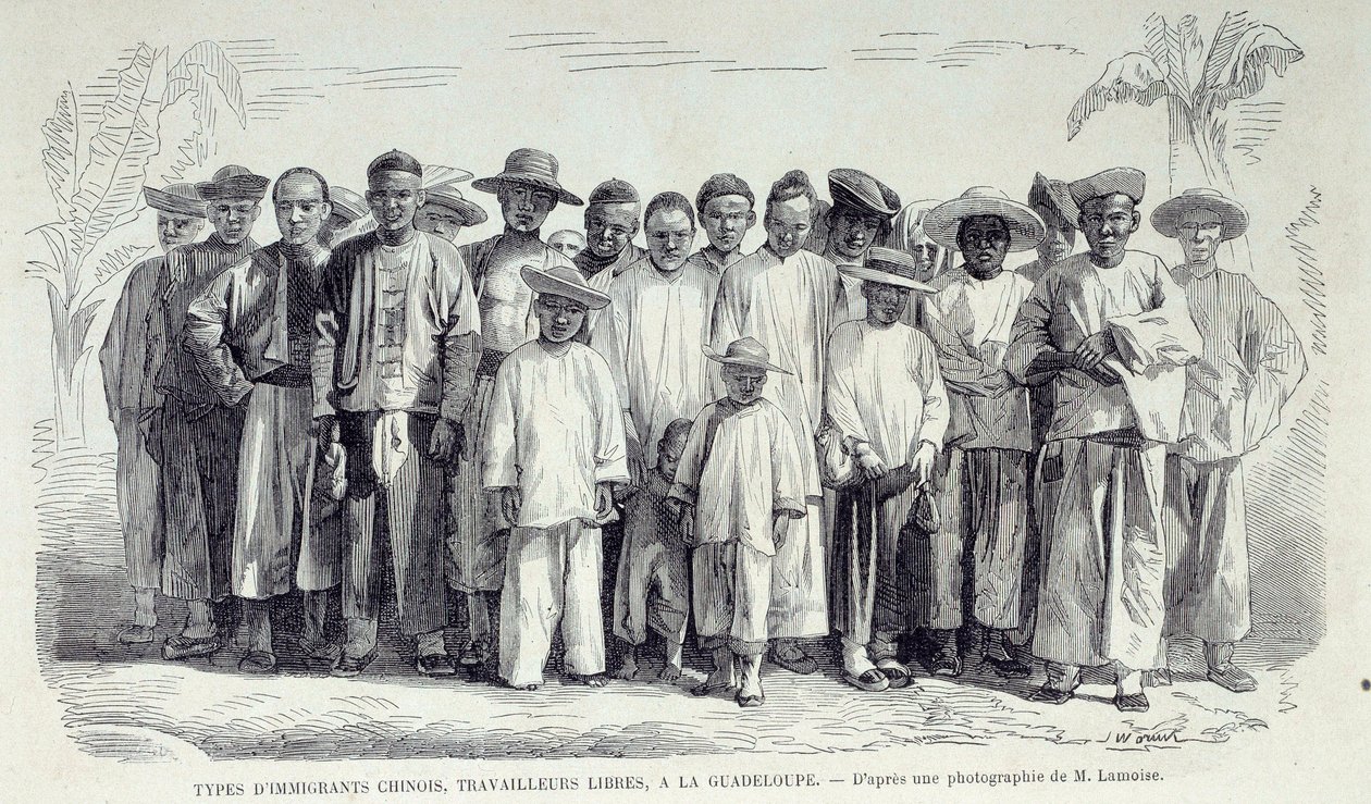 De franska koloniernas historia: Kinesiska immigranter som arbetar i Guadeloupe. Teckning efter fotografi av Chartres musee des Beaux Arts från det sena 1800-talet av Unknown artist