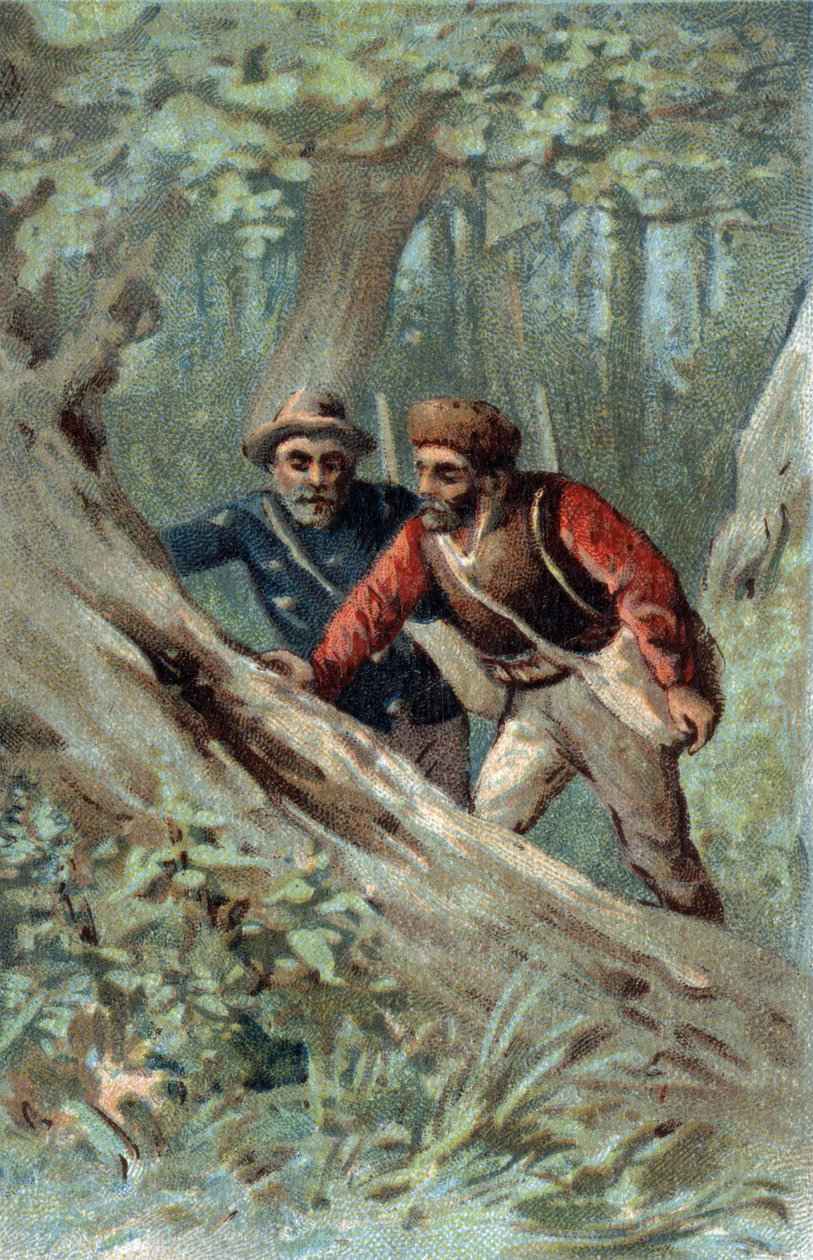 Honungsjägare i Kanada letar efter ett svärmträd. Kromolitografi i slutet av 1800-talet. av Unknown artist
