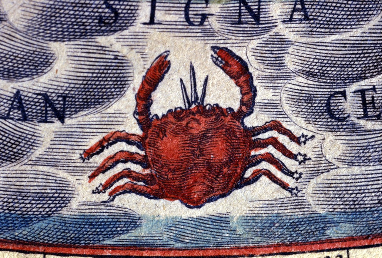 Horoskop: zodiakens tecken, Kräftan. 1500-talsgravyr. av Unknown artist