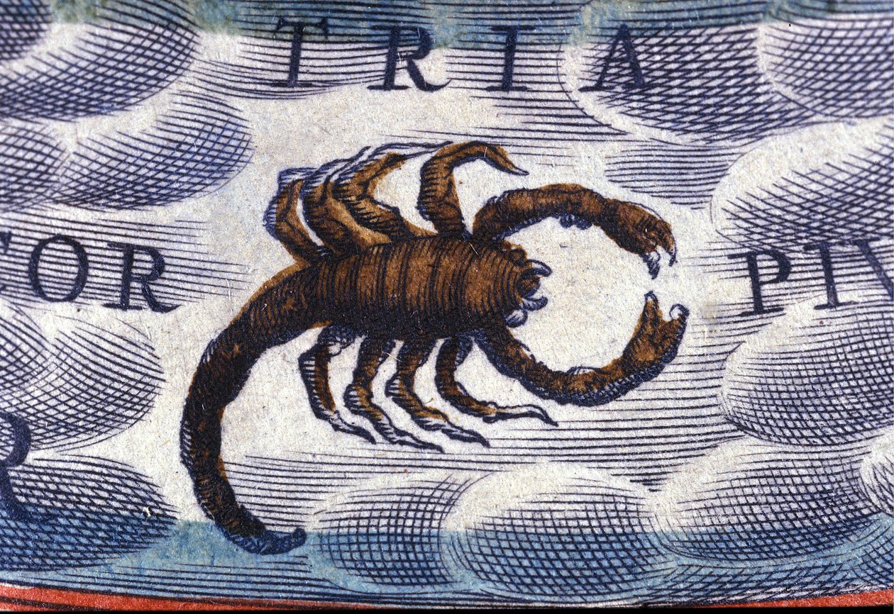 Horoskop: zodiakens tecken, skorpionen. av Unknown artist