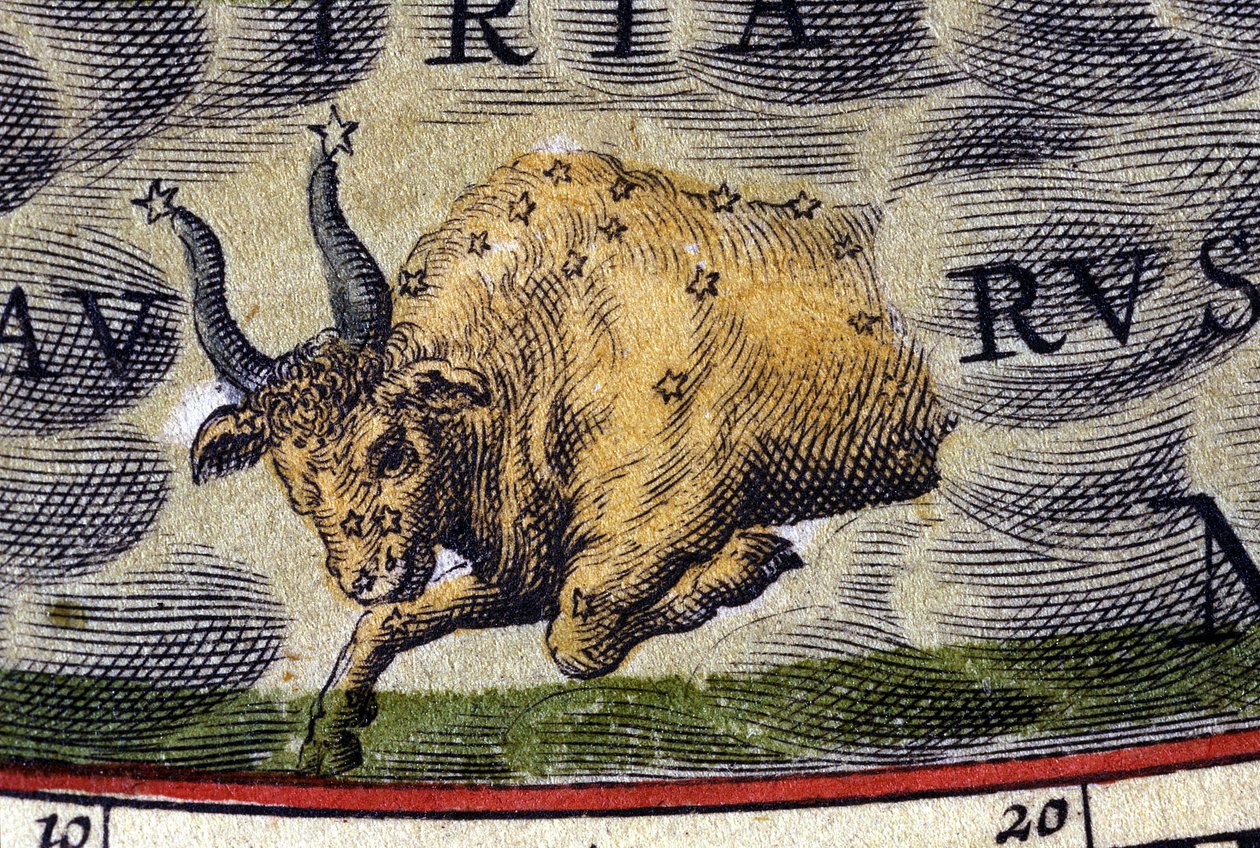 Horoskop: zodiakens tecken, Oxen. av Unknown artist