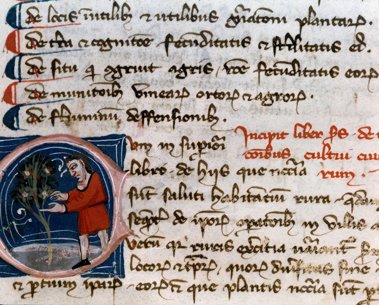 Trädgårdsodling: skörd av frukt. Detalj. Manuskriptsida (MS.s.vi) "" Agrarian Treat "" av Pietro de Crescenzi (Crescent Stone eller Crescens Stone) (1233-1320) 1300-talets Cesena, Biblioteca Malatestiana av Unknown artist