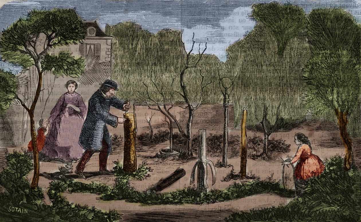 Trädgårdsodling: huvudsakliga metoder för växttransplantation. 1860 gravyr. av Unknown artist
