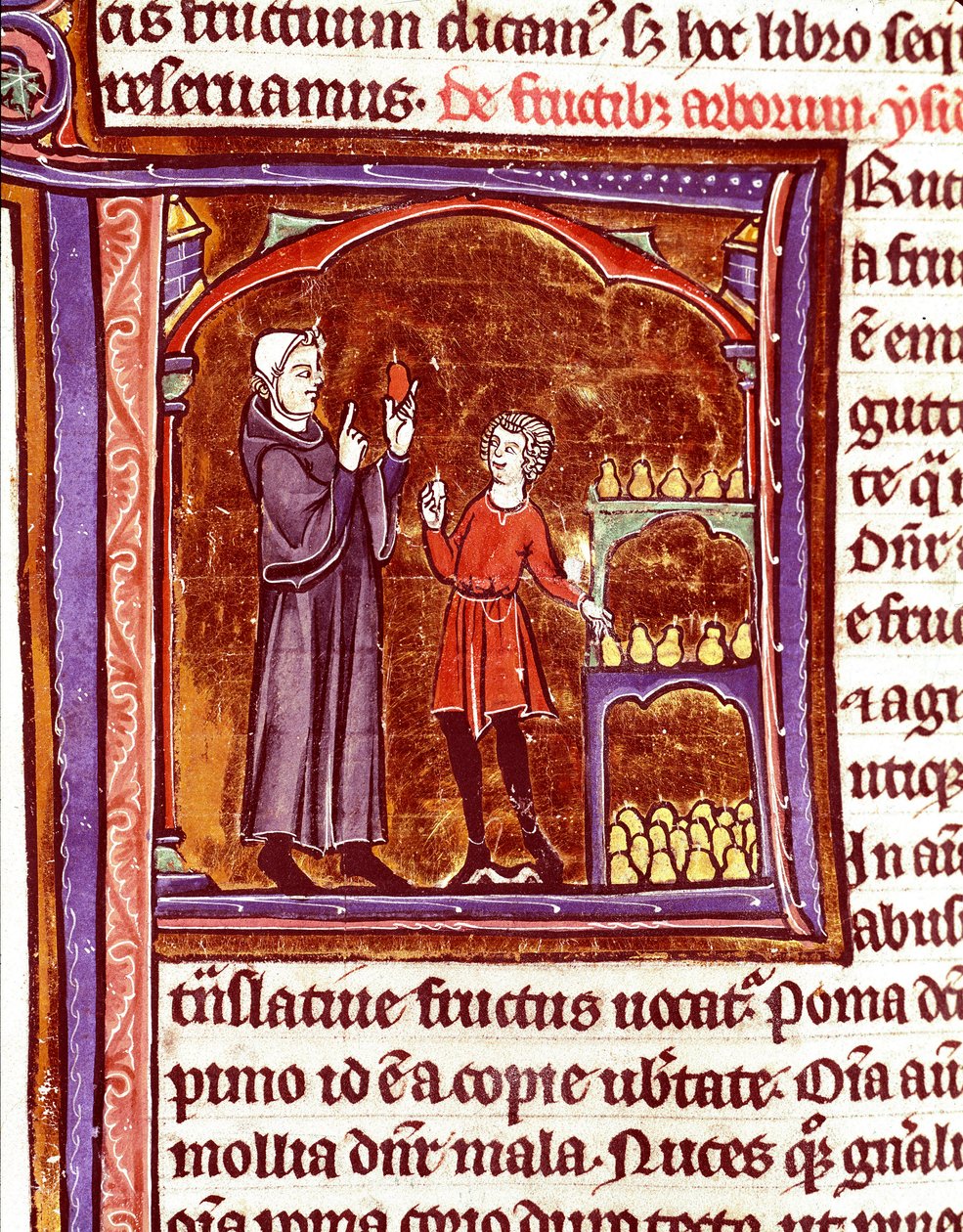 Hur man lagrar päron Miniatyr från manuskriptet "Speculum historiale"" (Le Mirror historial) av Vincent de Beauvais (1184/94-1264) Laon från 1200-talet, kommunalt bibliotek av Unknown artist