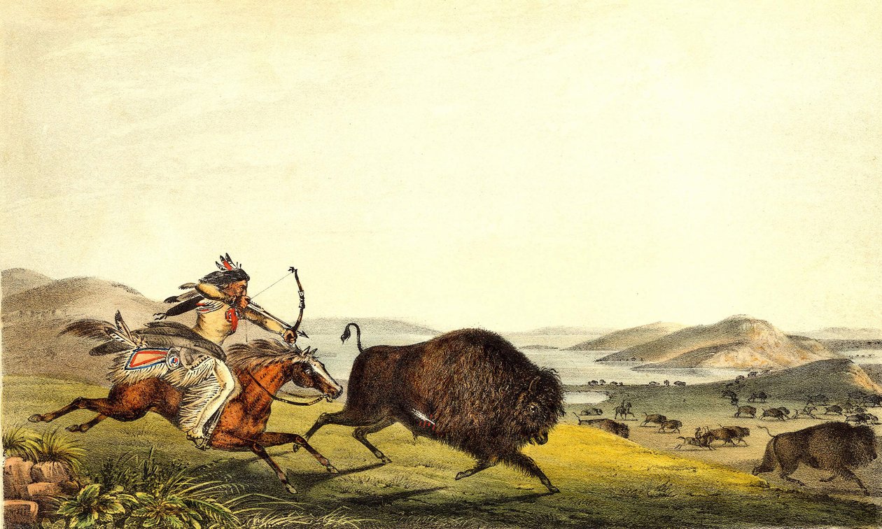 Jagar bison i Nordamerika. sd. 1800-talet. av Unknown artist