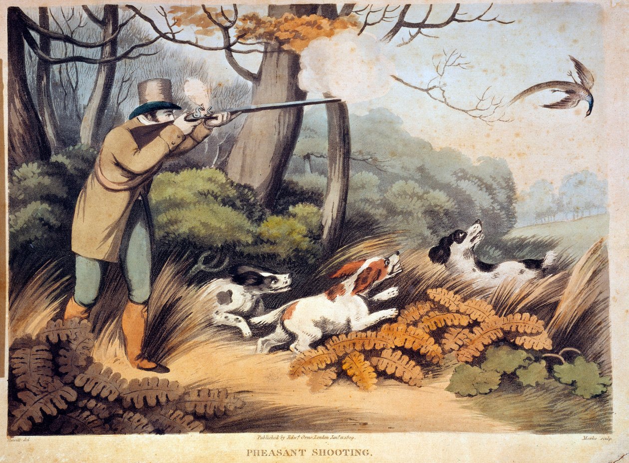 Jakt på fasaner i England. 1800-talsgravyr. Gien, jaktmuseum av Unknown artist