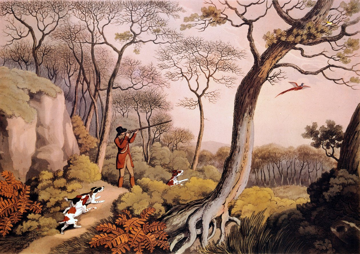 Jakt på fasaner i England. 1800-talsgravyr. Gien, jaktmuseum av Unknown artist