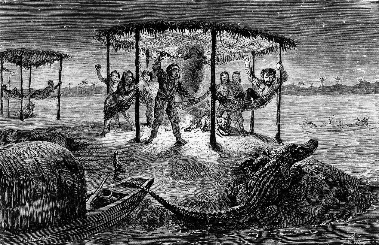 Illustration The Naturalist on the River Amazon" av Henry Walter Bates (gravyr) av Unknown artist