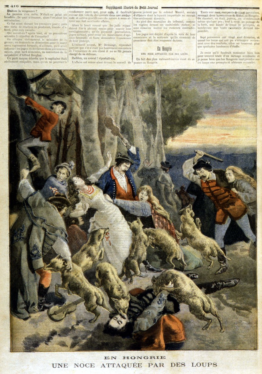 I Ungern: ett bröllop attackerat av vargar - i "" Le Petit Journal"" av 1894-12-23 av Unknown artist