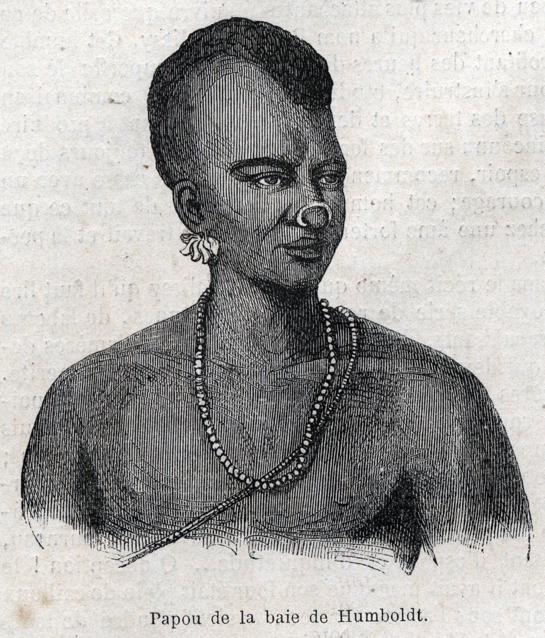 Ursprungsbefolkning i Nya Guinee (Nya Guinee): Papua i Humboldt Bay. Gravyr i "" L
