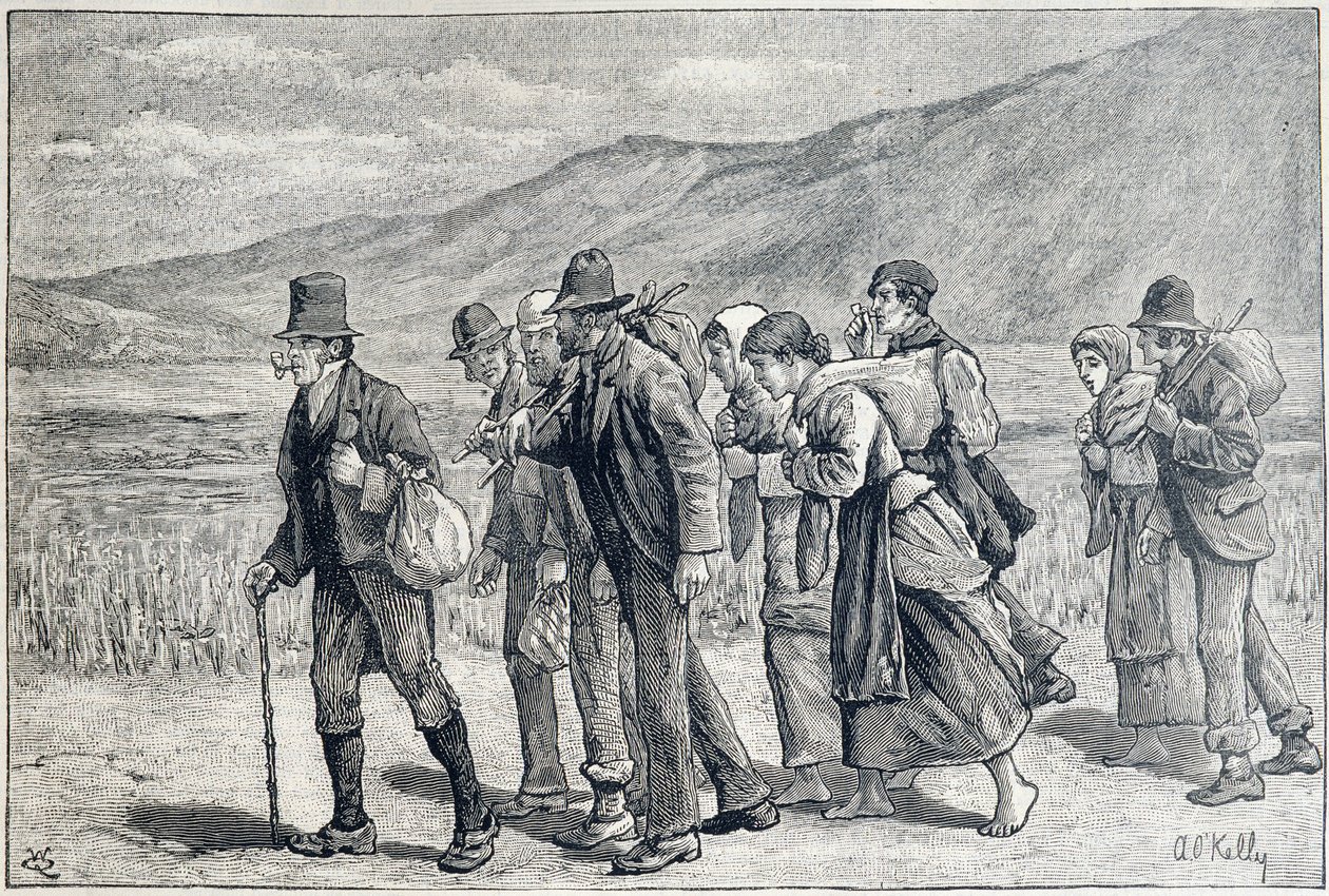 Irland: säsongsarbetare för skörd av Unknown artist