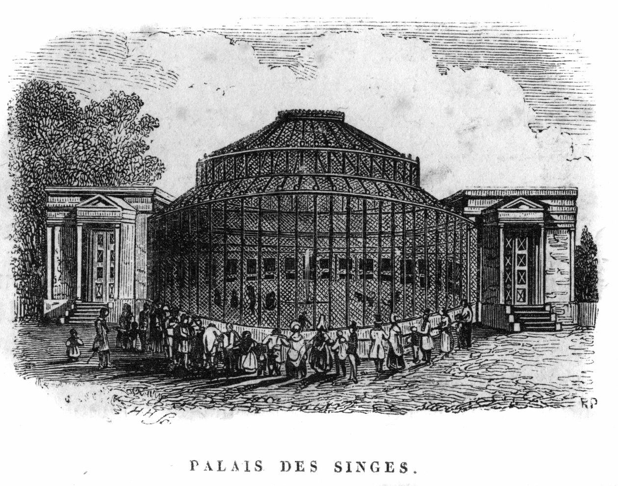 Jardin des Plantes i Paris 1861: apornas palats. av Unknown artist
