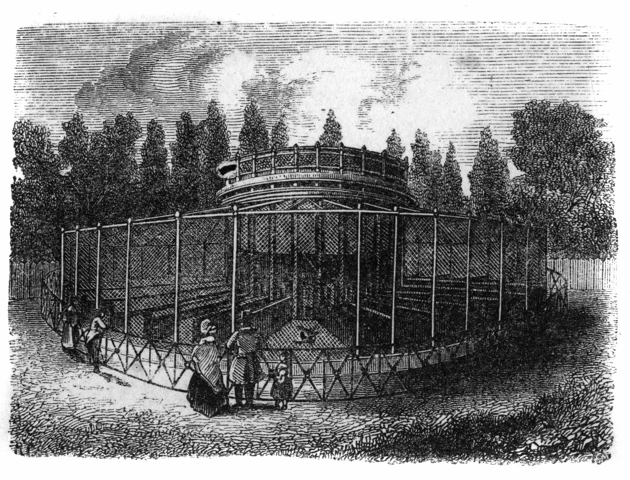 Jardin des Plantes i Paris 1861: fasanderi. av Unknown artist