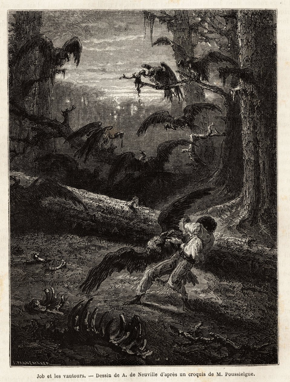 Job (redaktörens reskamrat), attackerad av gamar. Gravyr för att illustrera berättelsen Quatre mois en Florida, av M. Pousselgue, 1851-1852, publicerad i "" le tour du monde", under ledning av D