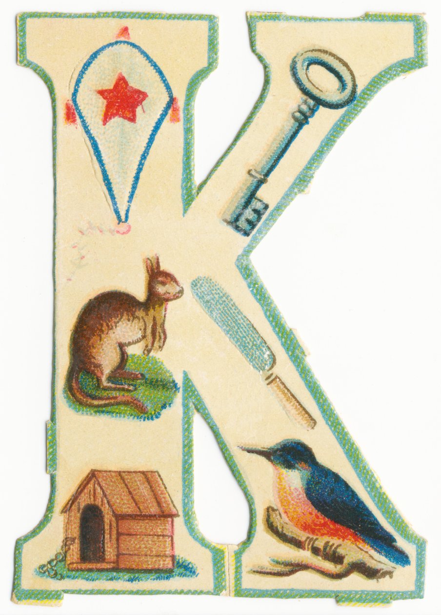 A: Insekter, drakar, kängurur, barrträd, kennlar, kungsfiskare (svart litho) av Unknown artist