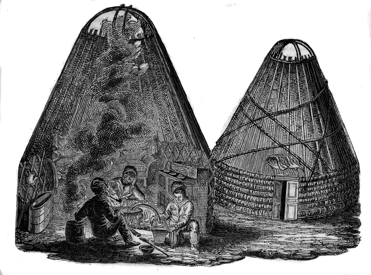 Kalmouks (västmongoler) framför sitt tält. av Unknown artist