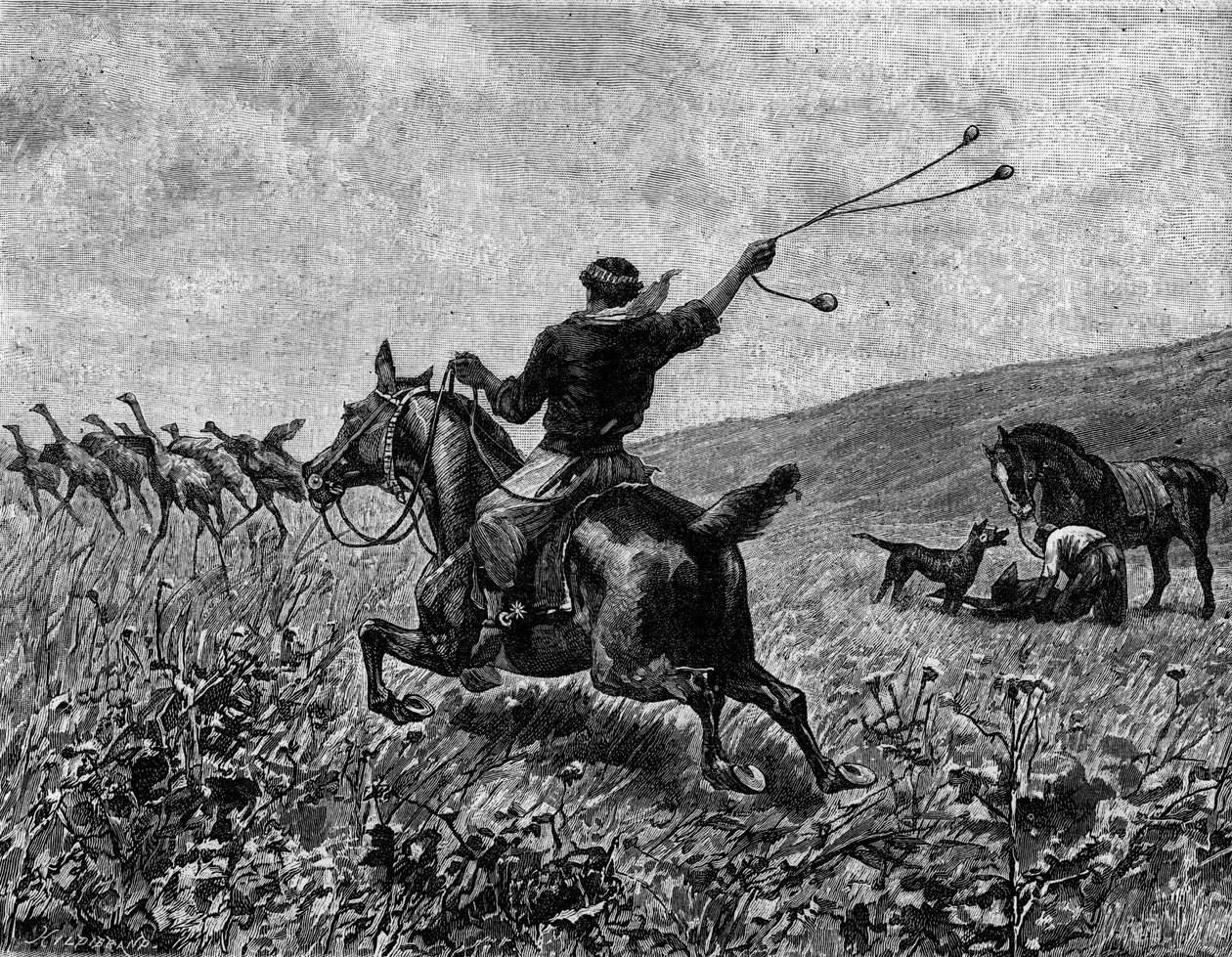 Lasso: jaktkasuar med bolllasso. Gravyr i "" The Journal of Youth "" av Unknown artist