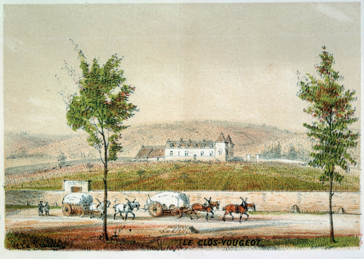 Le clos Vougeot, vingård i Cote d