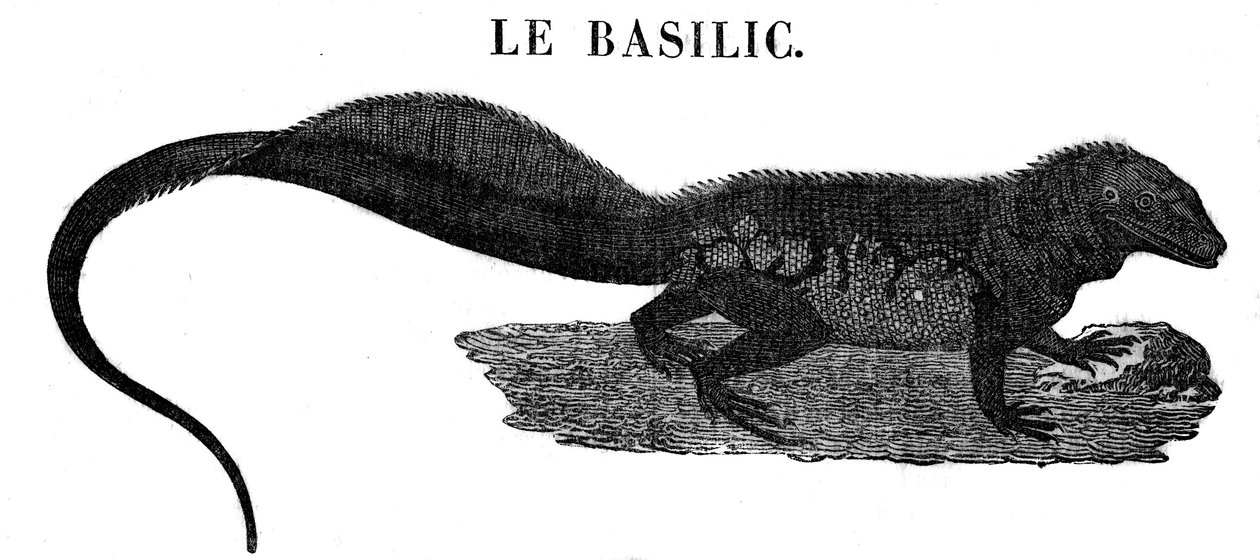 Legendariskt monster: representation av reptilen Basil. av Unknown artist