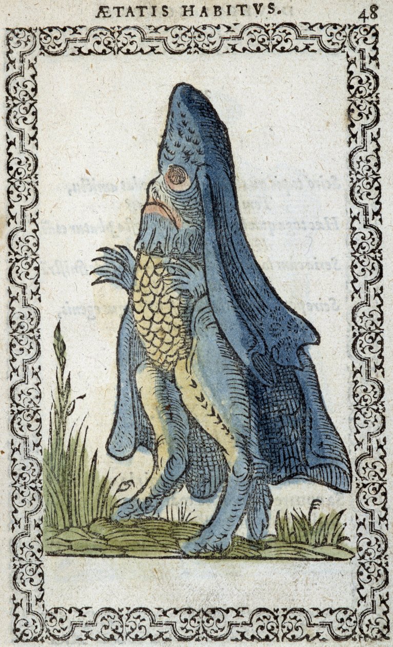 Sjöborren - i "" Habits and effigies"" av Jean Sluperius av Unknown artist
