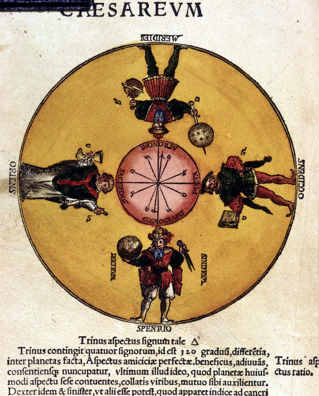 Les antipodes - i "" Astronomicon caesarum", avhandling från 1500-talet. av Unknown artist
