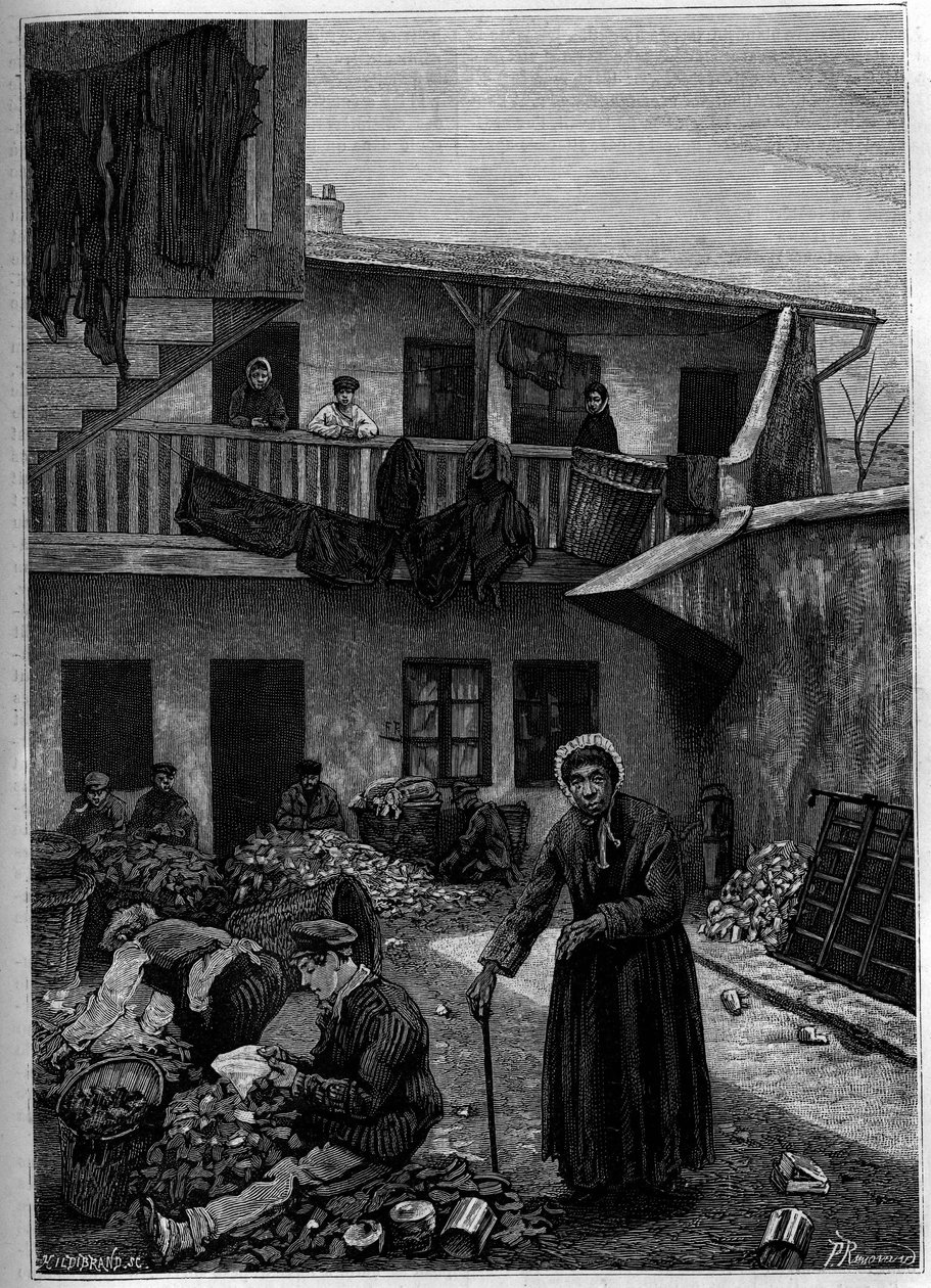 Trasplockarna: triage från naturen. Gravyr i "The Journal of Youth" av Unknown artist