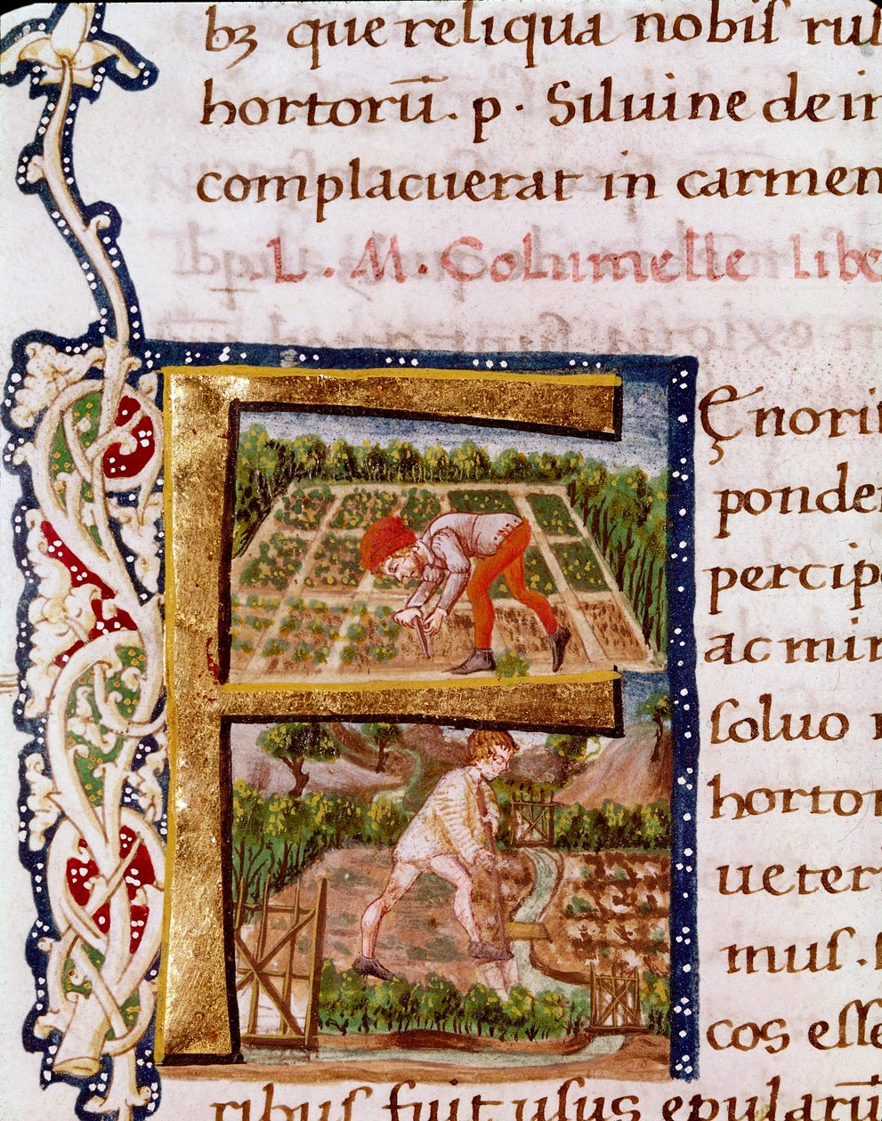 Lettrin F från kapitlet om trädgårdsodling: scener av strandning och bevattning. Miniatyr tagen från "" De re rustica"" av agronomen Lucius Iunius Moderatus Columella (1:a århundradet) (Ms.E-39). 1400-talet. Rom, Biblioteca Vallicelliana av Unknown artist