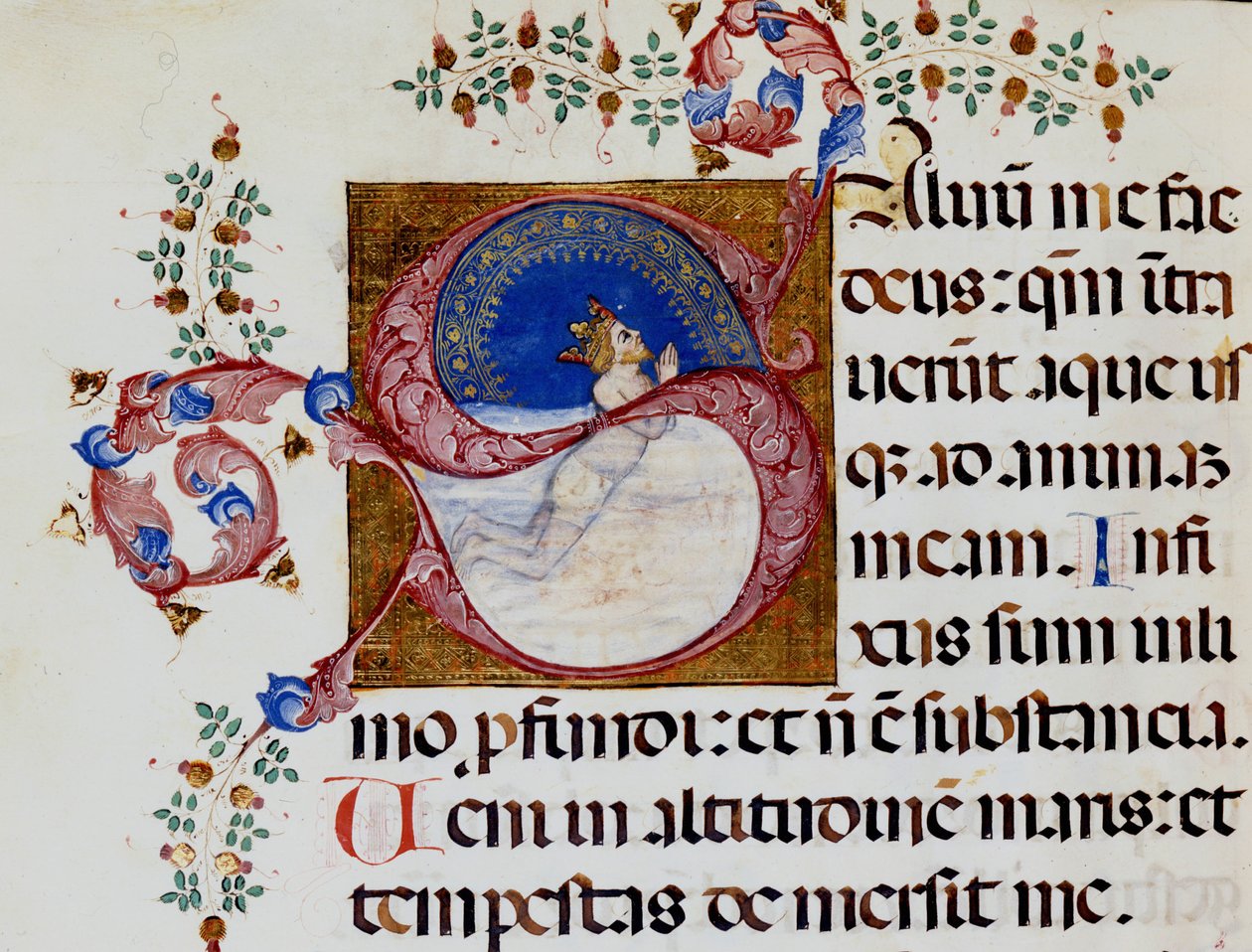 Lettrine S: David in the Deep Light - Antiphonary of the 15th century. Kommunal Bibl. av Rimini. av Unknown artist
