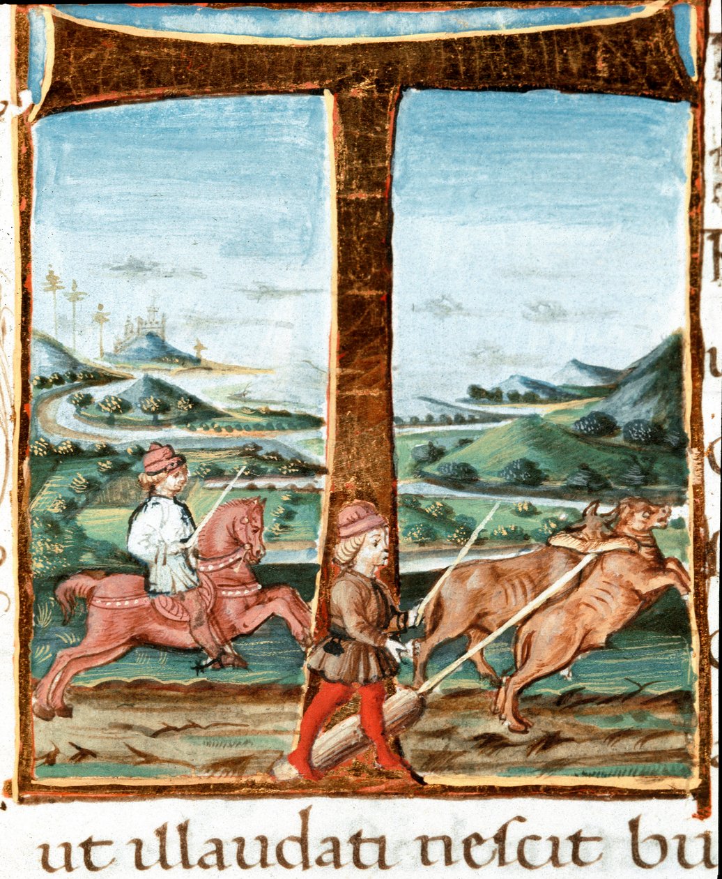 Lettrine T dekorerad av en ryttare och en tränare av oxar - Miniatyr hämtad från "" The Bucoliques"" (Eglogues) av Virgil (Publius Vergilius Maro) (70-19 f.Kr.) (Ms IV E.12). 1400-talet Neapel, Nationalbiblioteket av Unknown artist