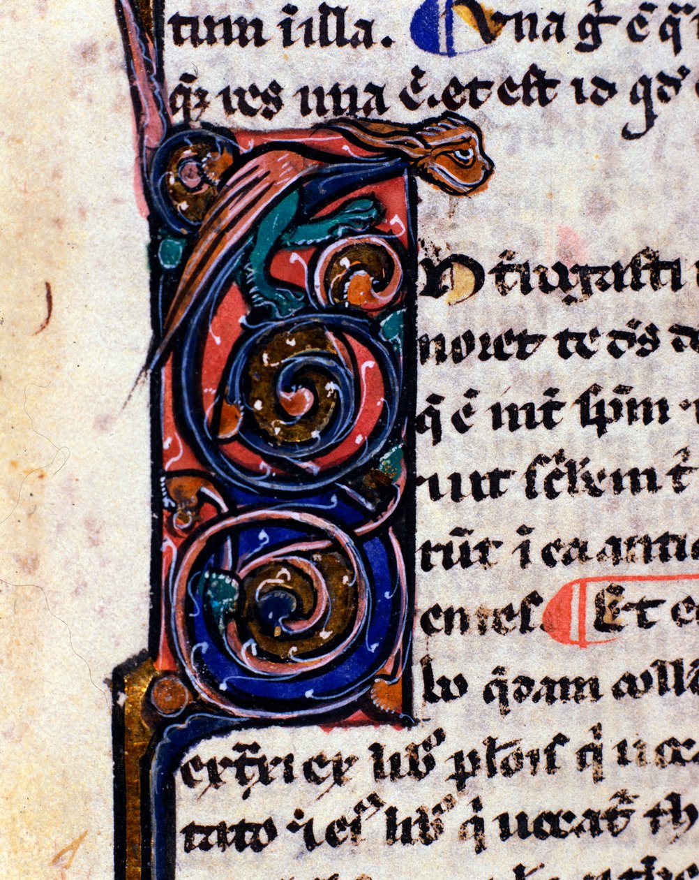 Lettrine-dekoratör av ett gotiskt monster som påminner gargoylerna. Detalj av 1300-talsmanuskript. av Unknown artist