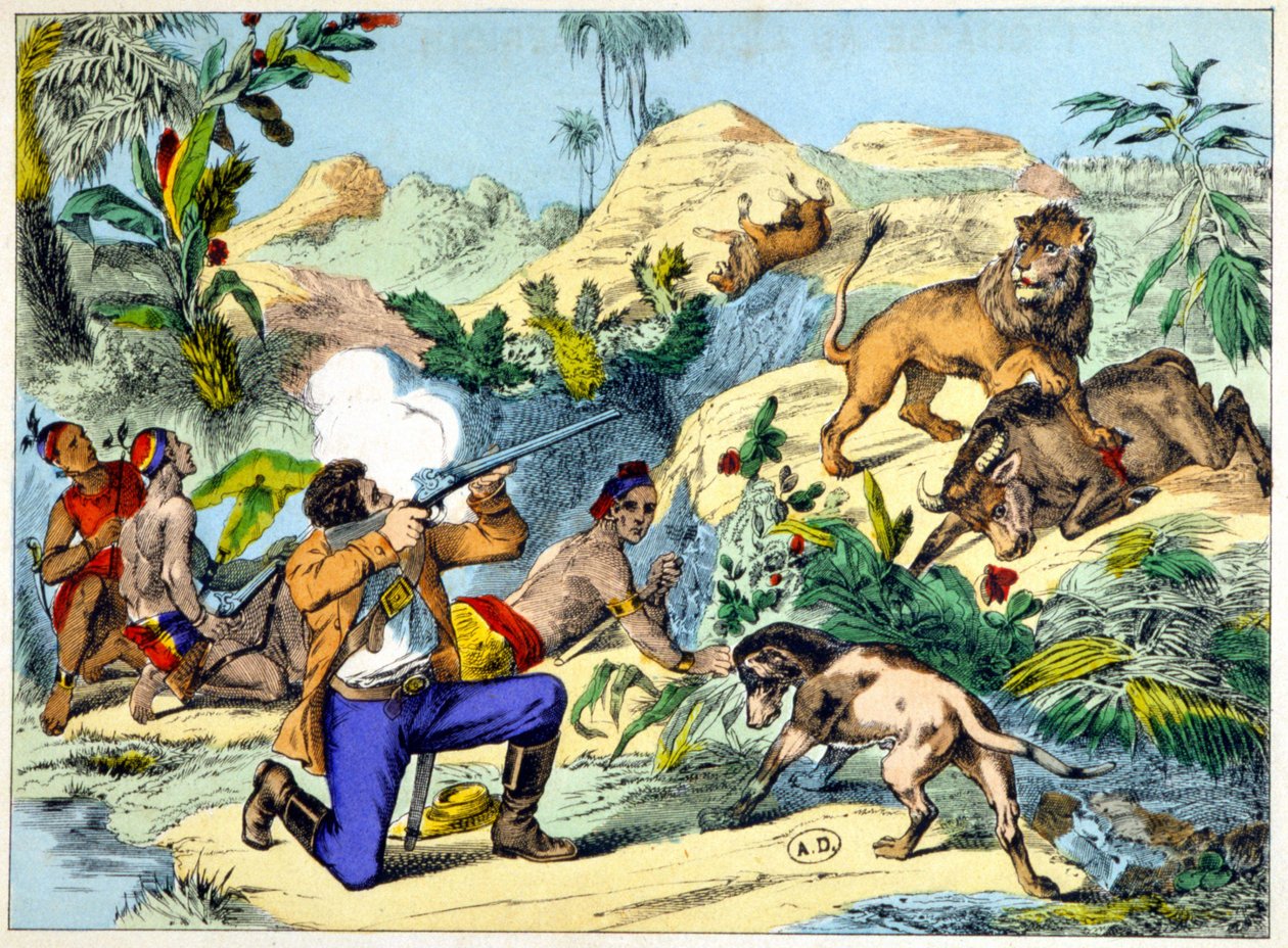 Lejonjakt i södra Afrika. 1800-talsgravyr. av Unknown artist