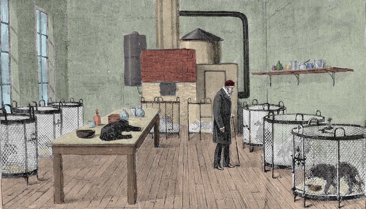 Louis Pasteur (1822-1895), fransk kemist och fysiker i sitt laboratorium i Paris. av Unknown artist