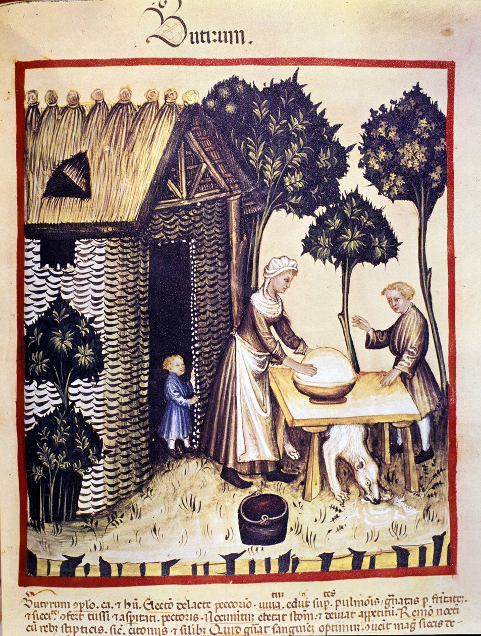 Tillverkning av smör. Belysning från mjölkning av medicin och diet "" Tacuinum sanitatis"" av Unknown artist