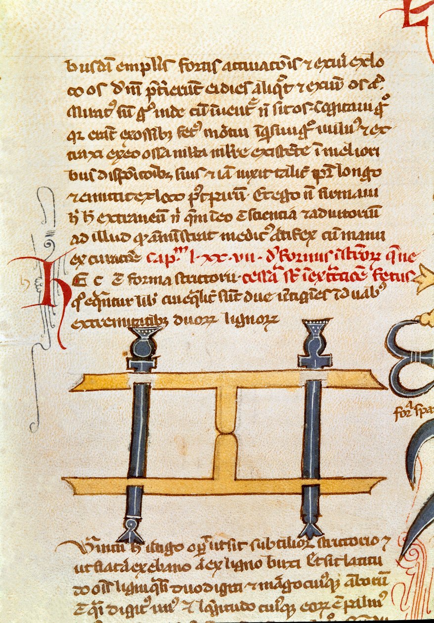 Manuskriptsida "" Kirurgi"" (MS. LAT.VII XXXII-3023) av Guillaume de Salicet (Guglielmo da Saliceto) (1207-1270) munk och läkare. 1300-talets Biblioteca Marciana Venedig av Unknown artist