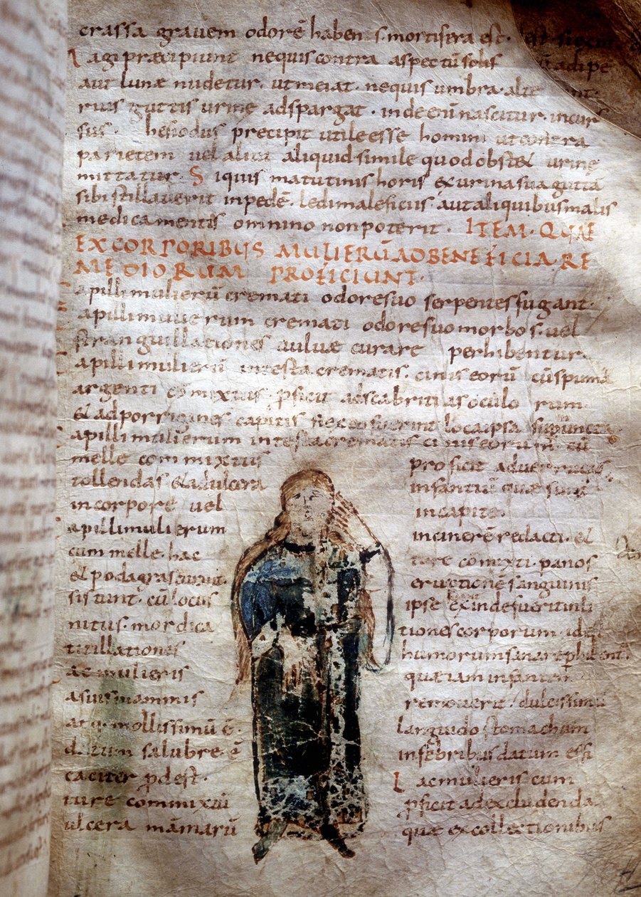 Manuskriptsida från "Om de enkla drogerna" av Claude Galien (Klaudios Galenos eller Claudio Galeno eller Claudius Galenus eller Galen, v. 131 - v. 201). 8:e eller 9:e århundradet. Styrelse i Lucca. av Unknown artist