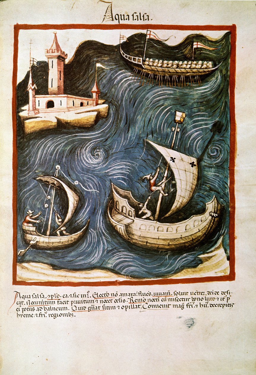 Medicinhandel: ""saltvatten"" Sidan hämtad från ""Tacuinum sanitatis"" (Cod. ser. nov. 2644) Runt 1400 Wien, Österrikes nationalbibliotek av Unknown artist