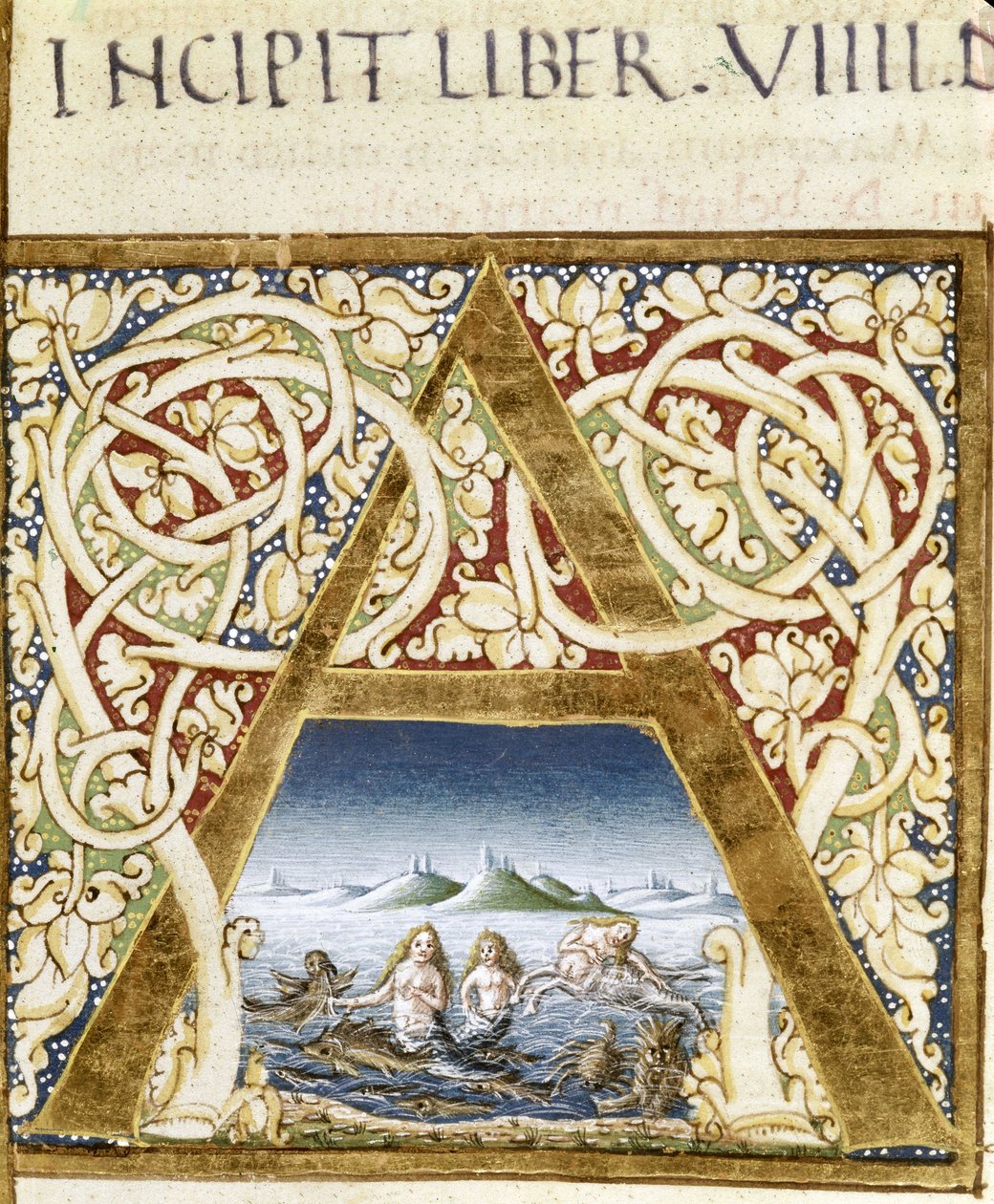 Miniatyr som representerar sirener. Bokstaven "" A"" - i "" Naturalis Historiae"" av Plinius den äldre (23 - 79), red. 1480.Victoria & Albert bibliotek av Unknown artist