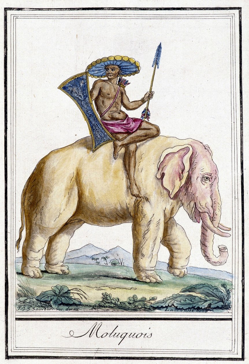 Molucquois man på en elefant (Molucquois, Indonesien). av Unknown artist