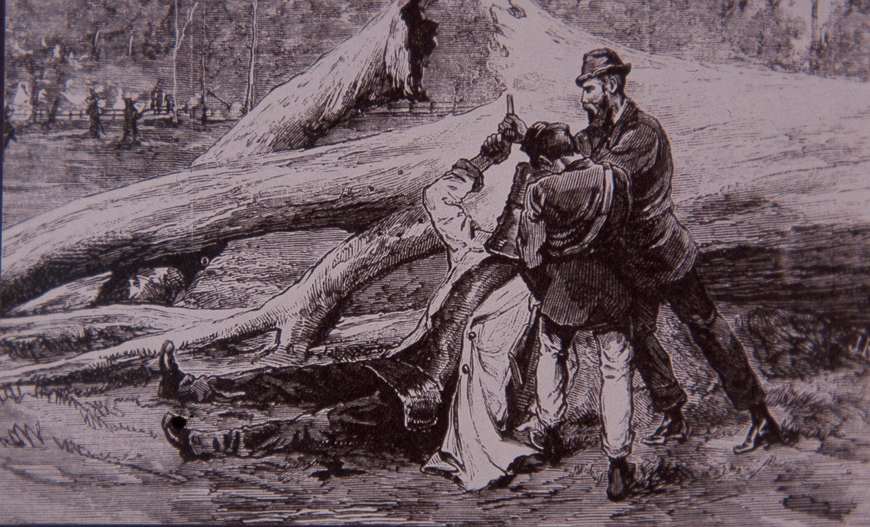 Ned Kelly tillfångatagen av poliskonstapel Kelly och järnvägsmannen Jesse Dowsett, 28 juni 1880 (gravyr) av Unknown artist
