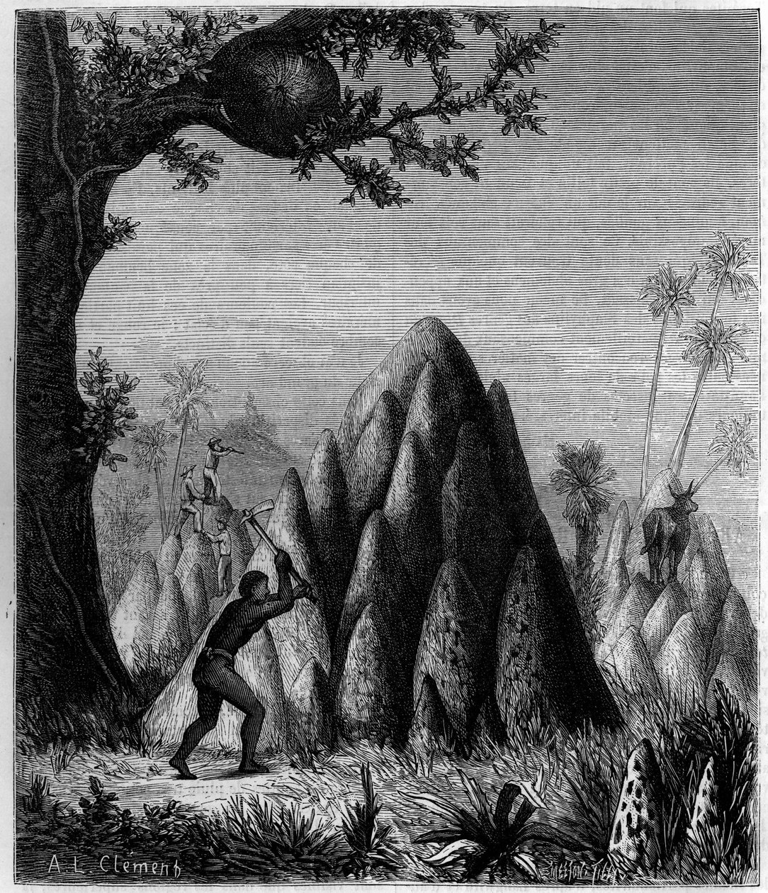 Bo av den "krigslika termiten" och "trädens termit"" i Afrika. Gravyr i "" La Nature: revue des sciences et de leurs applications aux arts et a l