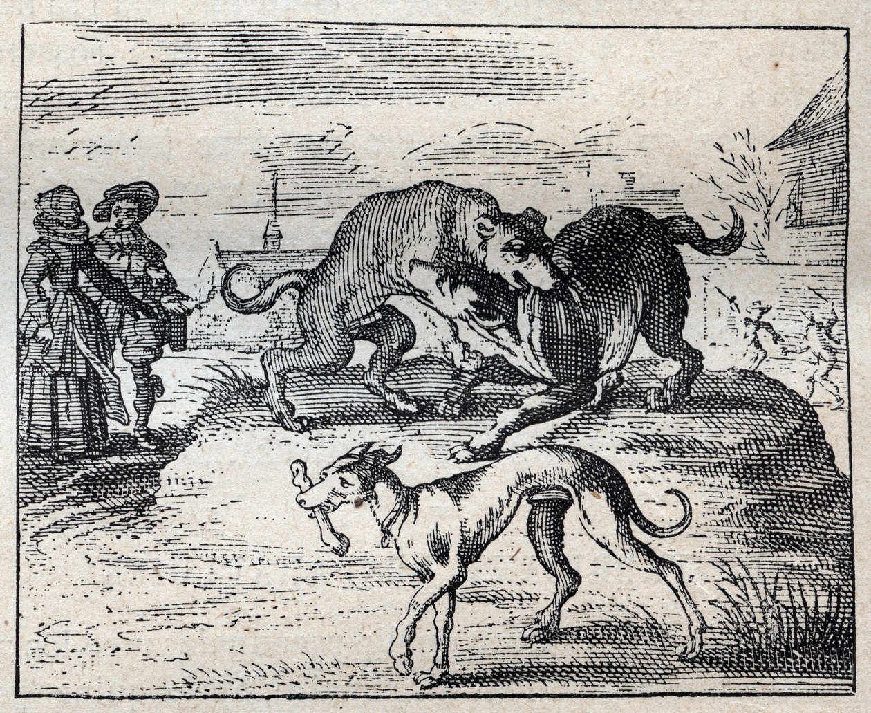 Gammalt engelskt ordspråk: två hundar strävar efter ett ben och den tredje tar bort det av Unknown artist