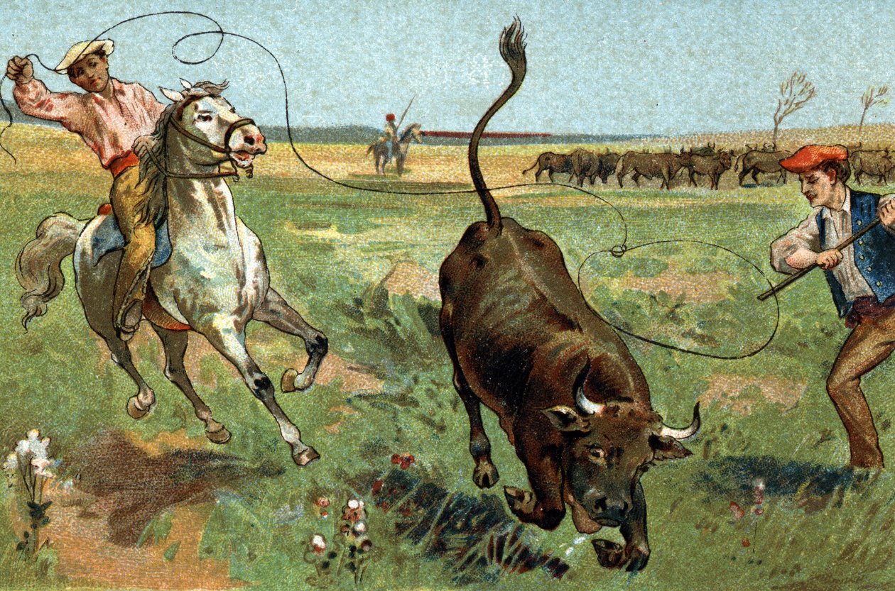 Gammal sed som firas i Provence-regionen: ferraden i Camargue. Kromolitografi från slutet av 1800-talet. av Unknown artist