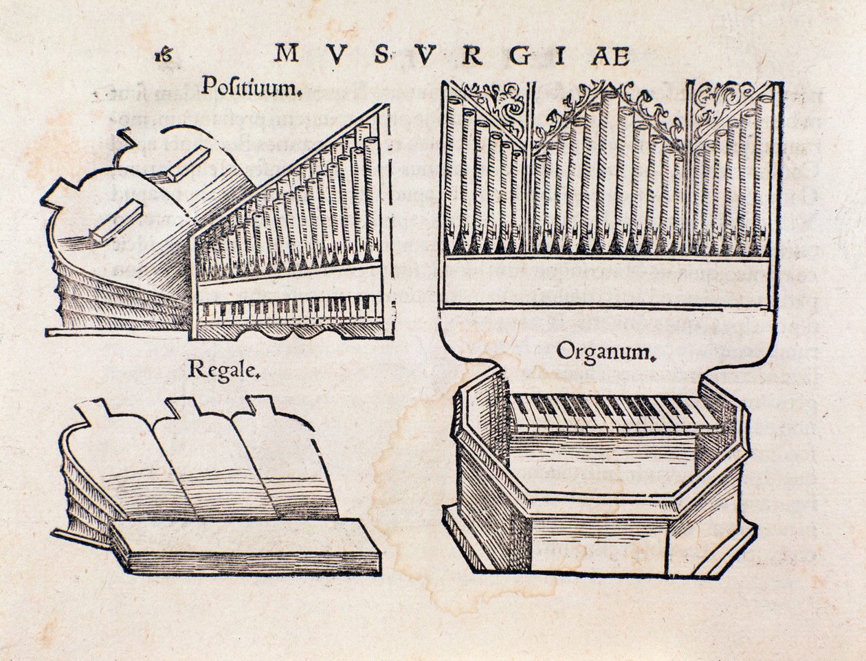 Organrepresentation. Sidan hämtad från Musurgias praktiska manual för musik av Unknown artist