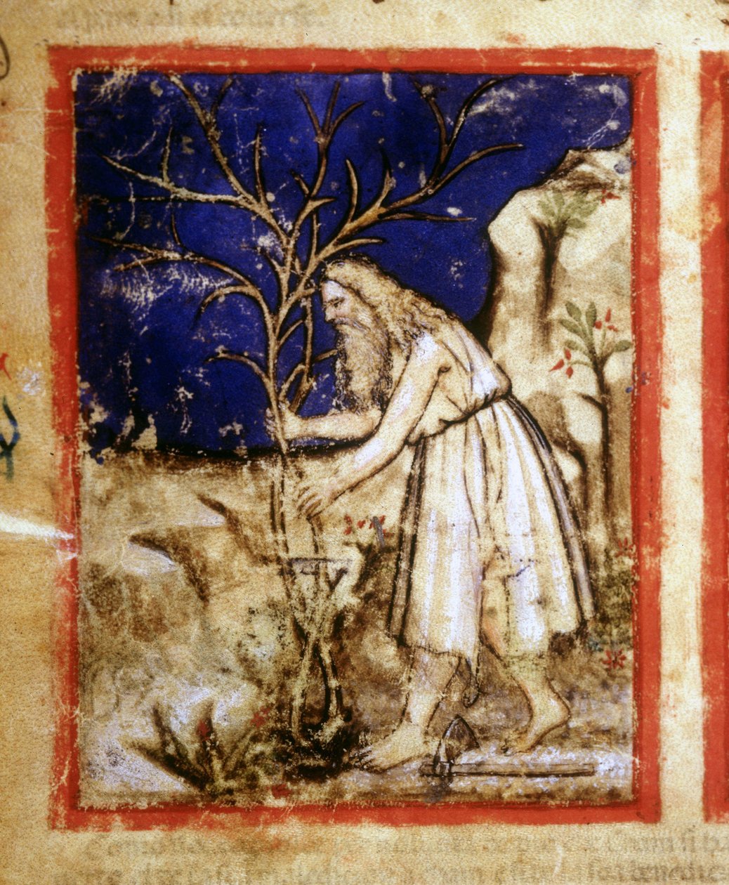 Sida i ett bibelmanuskript. Noas växtliv. Miniatyrer från codex 212 (eller Padovano Codice eller Bible of Padua) 1390-1400 Rovigo, Accademia dei Concordi av Unknown artist