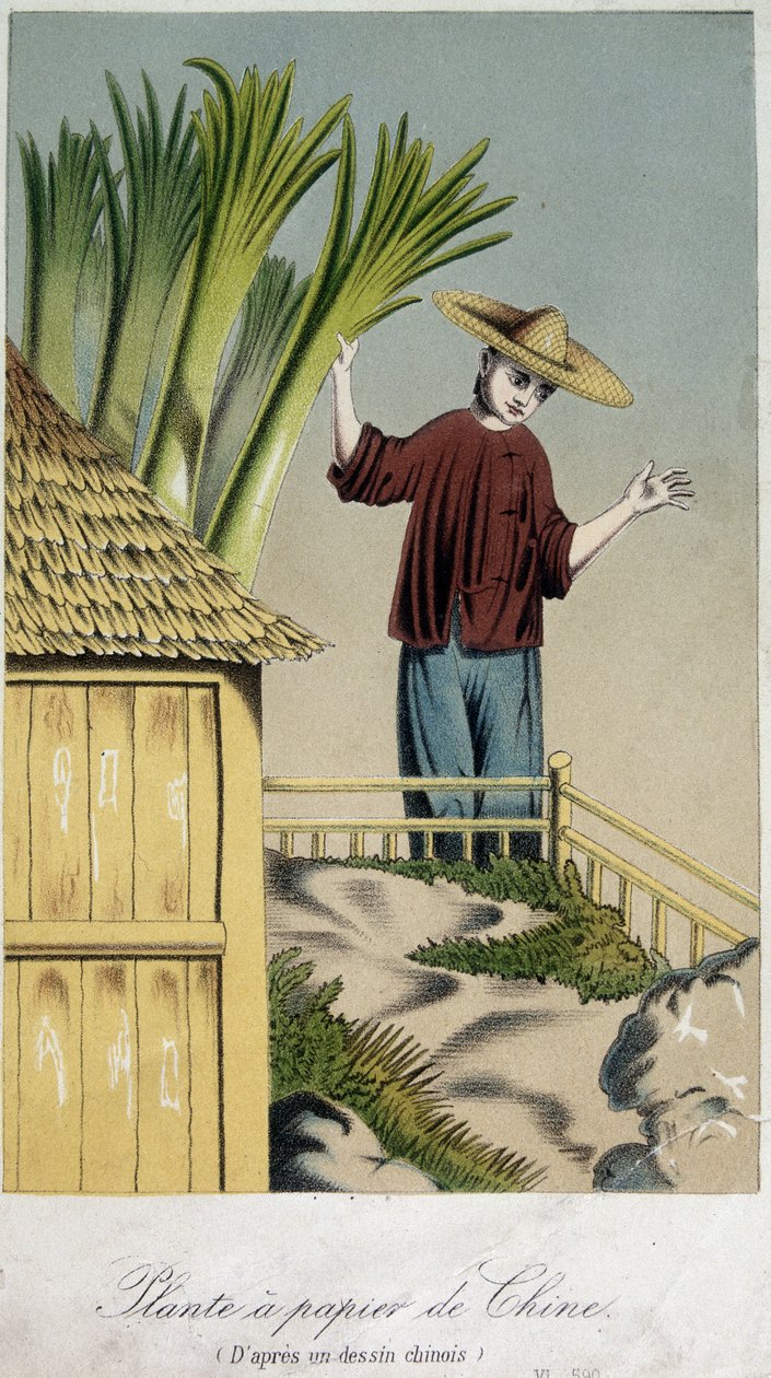 Pappersfabrik, Kina - gravyr av Unknown artist