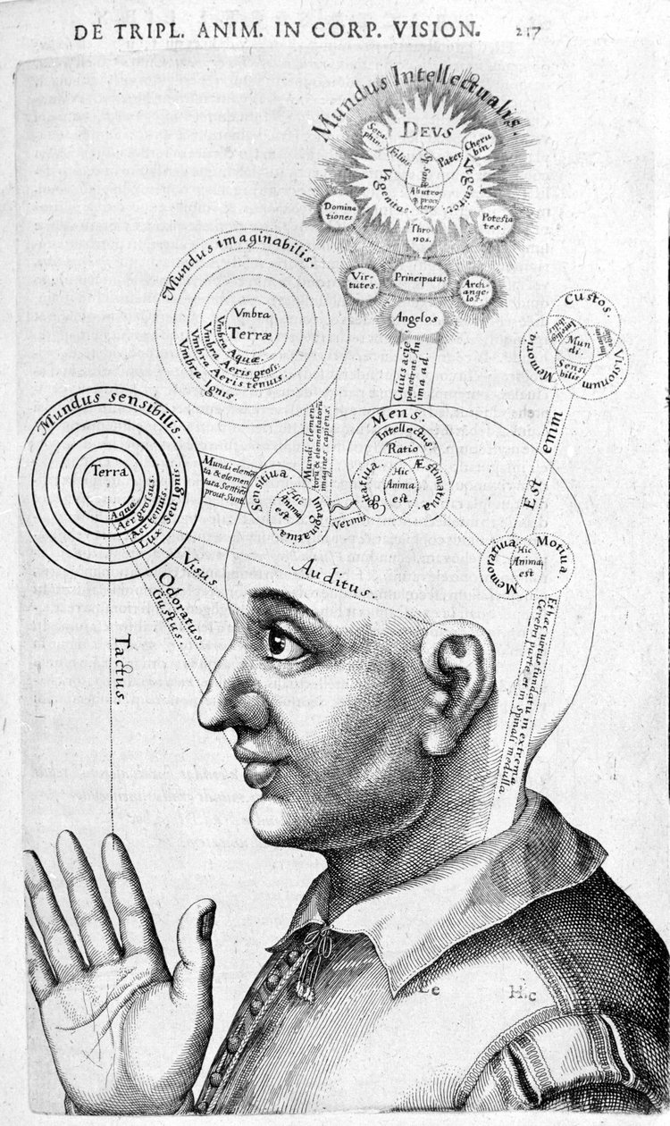 Fysiognomibild (frenologi) från The Collected Works of Robert Fludd (Robertus de Fludd). London 1617 av Unknown artist