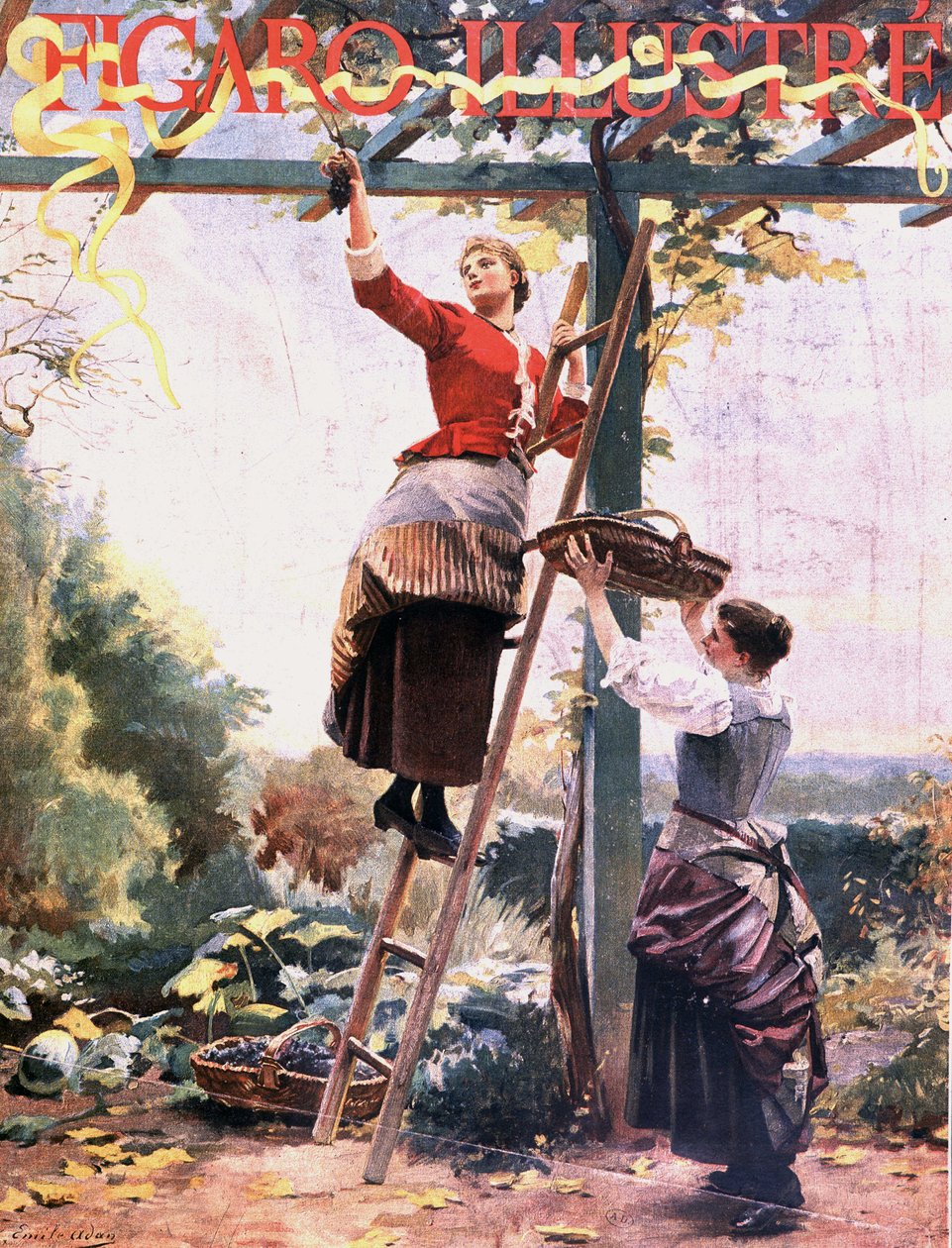 Plocka druvor i suspenderade vinstockar - i "" Figaro illustré", okt. 1891 av Unknown artist
