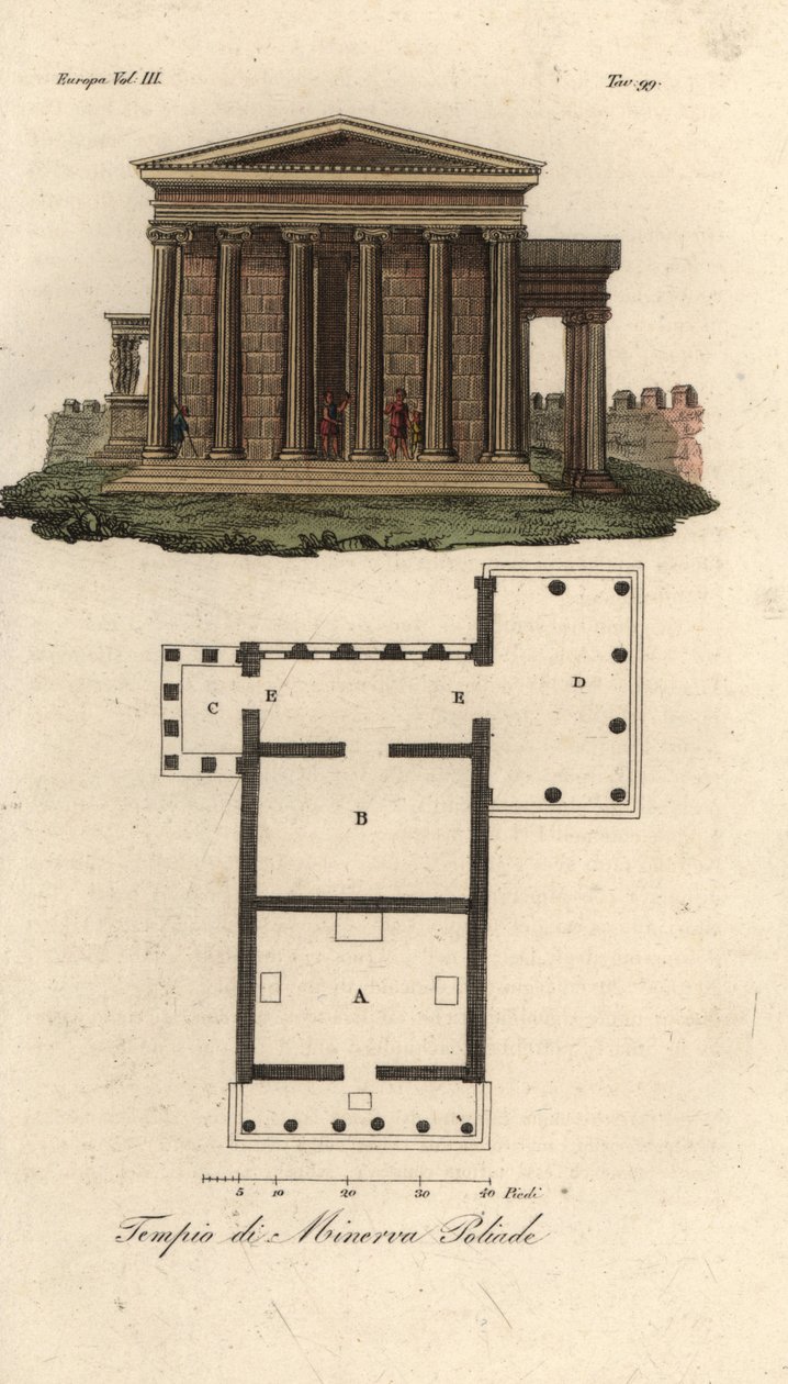 Plan och höjd av Erechtheion eller Erechtheum A, Temple of Neptune B, Temple of Minerva Polias med Porch of the Caryatids C, och Temple of Pandrosus eller Pandrosion D av Unknown artist