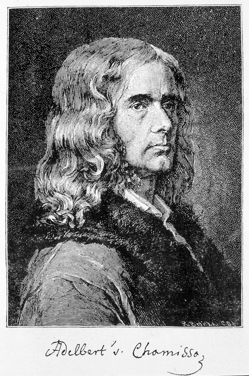 Porträtt av Aldebert Von Chamisso de Boncourt (1781-1838), tysk författare och forskare av franskt ursprung - gravyr av Unknown artist