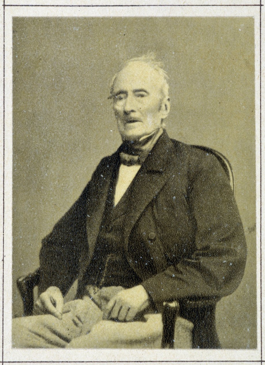 Porträtt av Alphonse de Lamartine (1790 - 1869) 1867 av Unknown artist